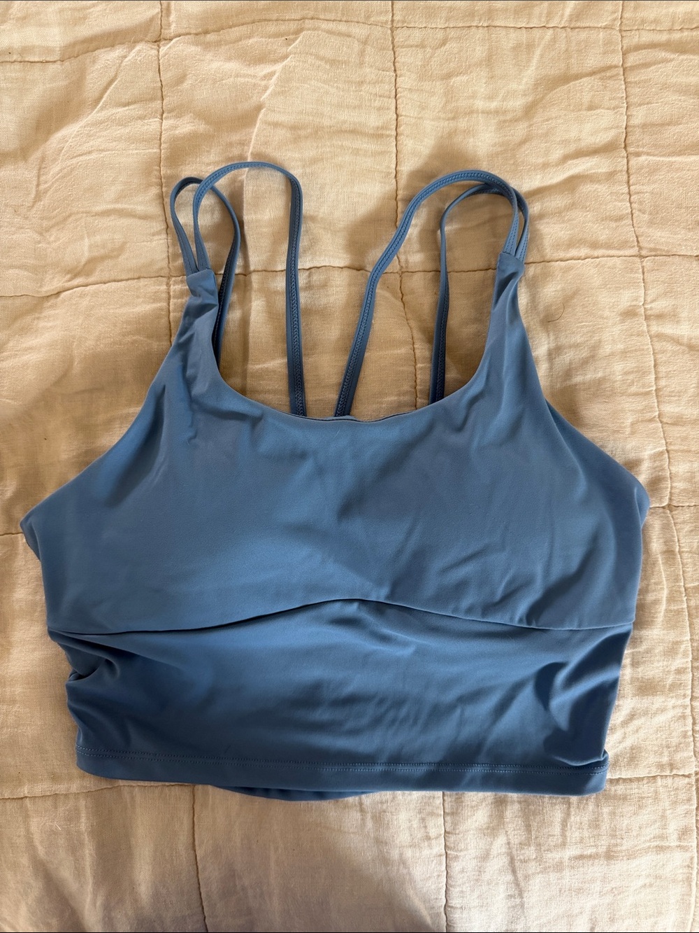 Double-Strap Blue Stretch Crop Sports Bra
